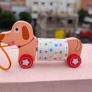 Wooden Pull Along with Mathematical wheel Lulu Kids