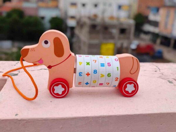 Wooden Pull Along with Mathematical wheel Lulu Kids